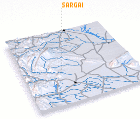 3d view of Sargai