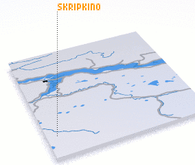 3d view of Skripkino