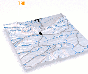 3d view of Tari