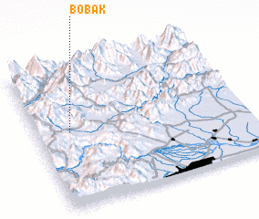 3d view of Bobak