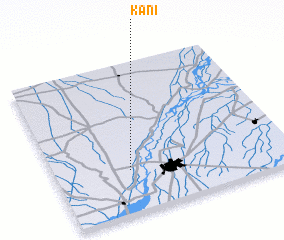 3d view of Kani