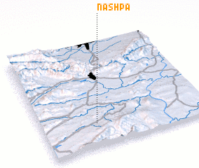 3d view of Nashpa