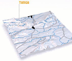 3d view of Tanga