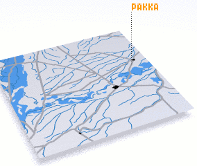 3d view of Pakka