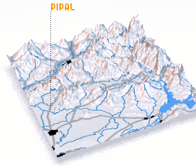 3d view of Pīpal