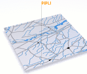 3d view of Pipli