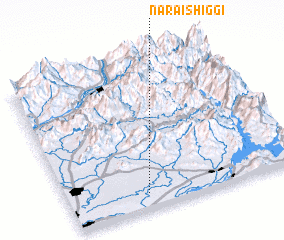 3d view of Narai Shiggi