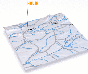 3d view of Walia