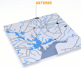 3d view of Watāman