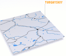 3d view of Turgayskiy