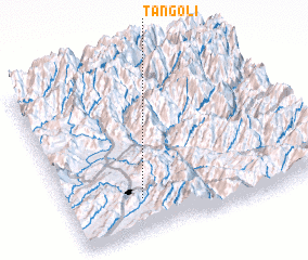 3d view of Tangoli
