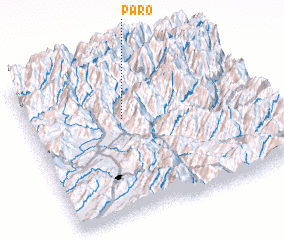 3d view of Paro