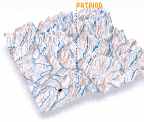 3d view of Patriod