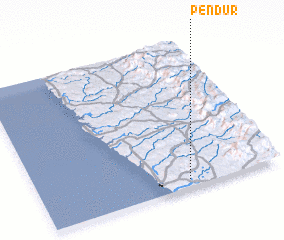 3d view of Pendur