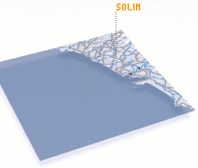 3d view of Solim