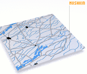 3d view of Mushkin