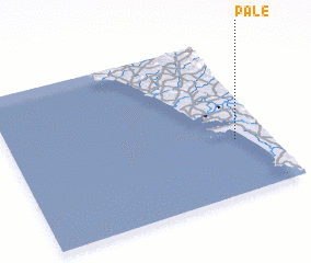 3d view of Pale