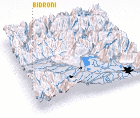 3d view of Bidroni