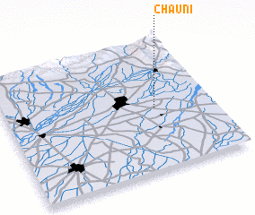 3d view of Chauni