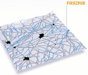 3d view of Fīrozpur