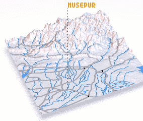 3d view of Musepur