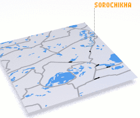 3d view of Sorochikha