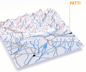 3d view of Patti