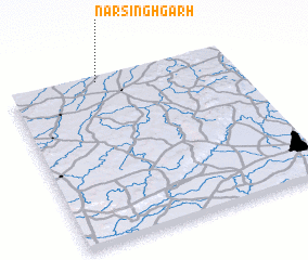 3d view of Narsinghgarh