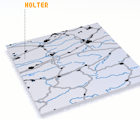 3d view of Holter