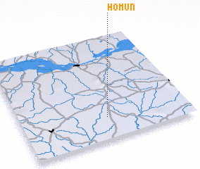 3d view of Homun