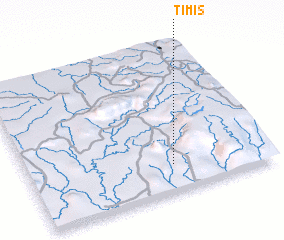 3d view of Timis