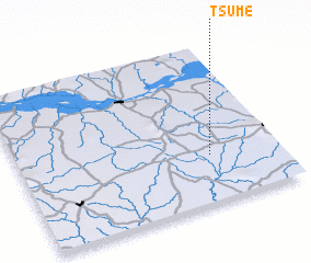 3d view of Tsume