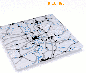 3d view of Billings