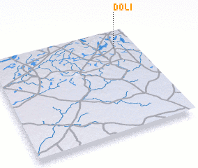 3d view of Doli