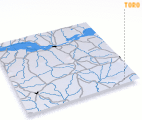 3d view of Toro