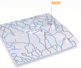 3d view of Owom