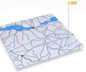 3d view of Lium