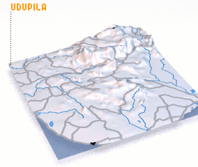 3d view of Udupila
