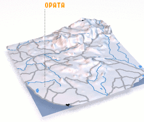 3d view of Opata