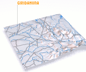 3d view of Giridamuna