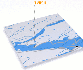 3d view of Tymsk