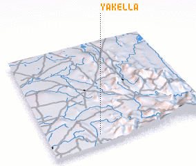 3d view of Yakella