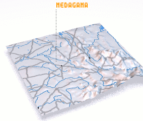 3d view of Medagama