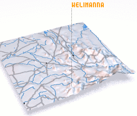 3d view of Welimanna