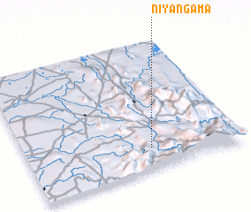 3d view of Niyangama