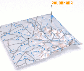 3d view of Polommana