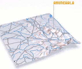 3d view of Amunewala