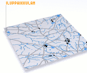 3d view of Iluppaikkulam