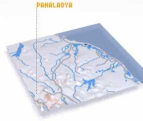 3d view of Pahalaoya