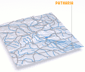 3d view of Patharia